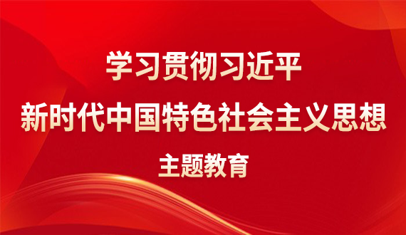 學習貫徹習近平新時代中國特色社會主義思想主題教育